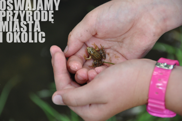 Dziecko trzymające owada w dłoniach na rodzinnym spacerze REFA nad Drwinką